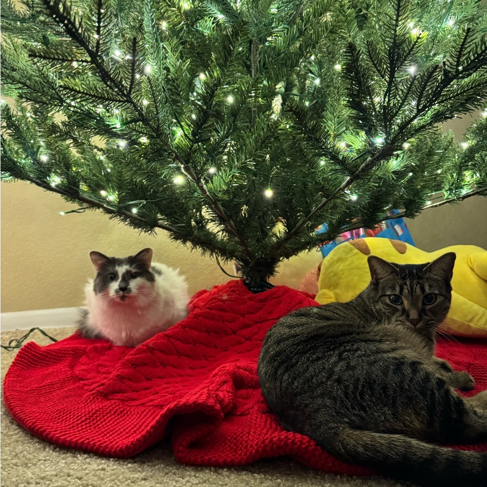 Meet your Posher, Quentin